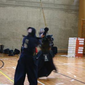 gallery__image
